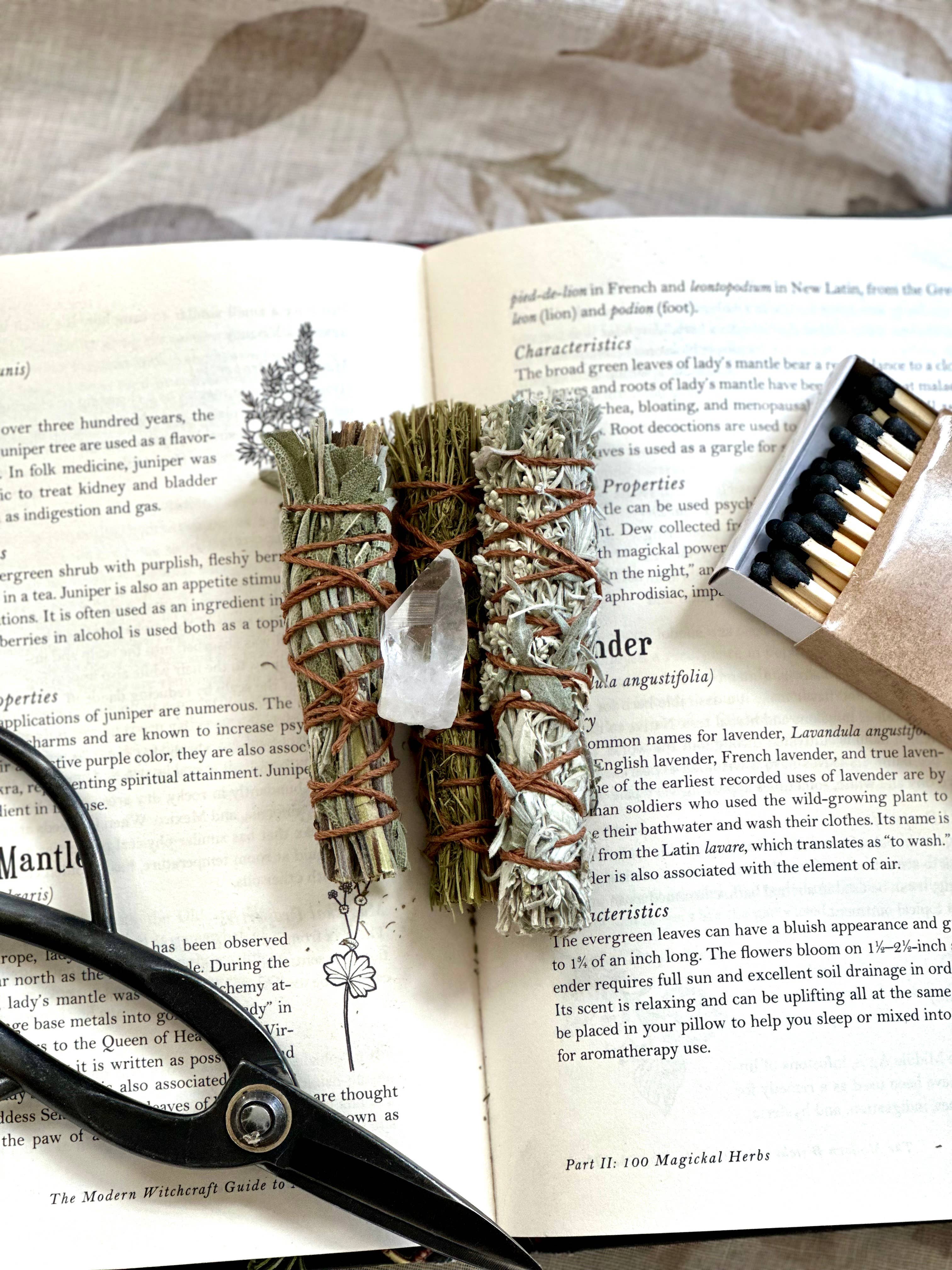 erba - Wholesale Sage Bundle - Energy Cleansing Sampler Set5