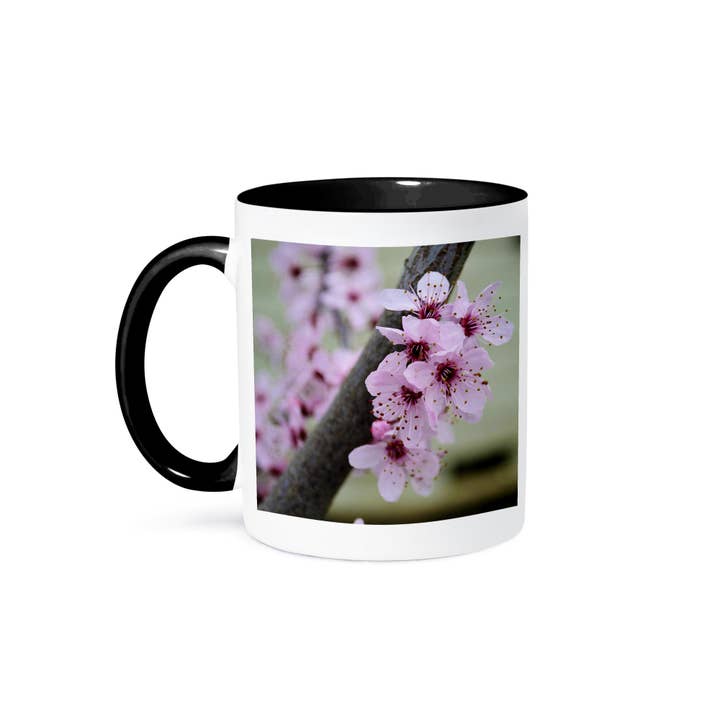 3dRose, Pretty Spring Floral- Cherry Blossom Flowers- Photography, Mug and other Purchase Wholesale spring blossom tea. Free Returns & Net 60 Terms on Faire trending on Faire.