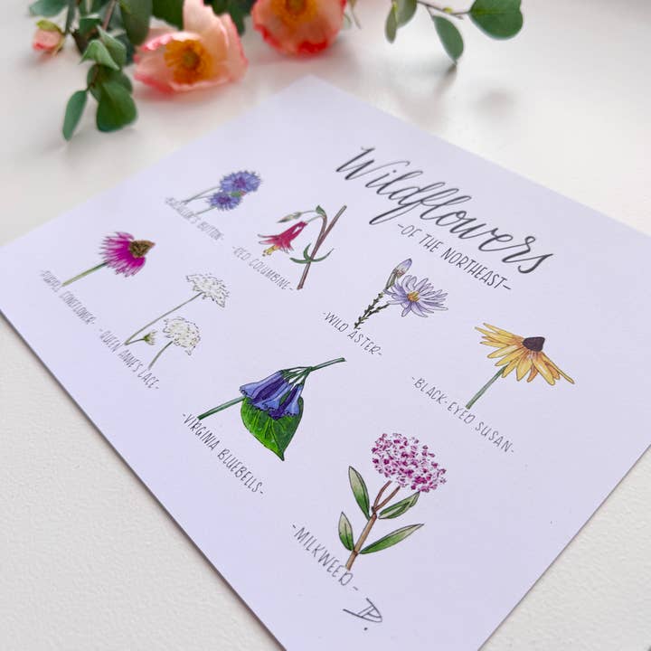 D. Prince Designs - Wholesale Art Print - Wildflowers of the Northeast | Recycled Cardstock Print2