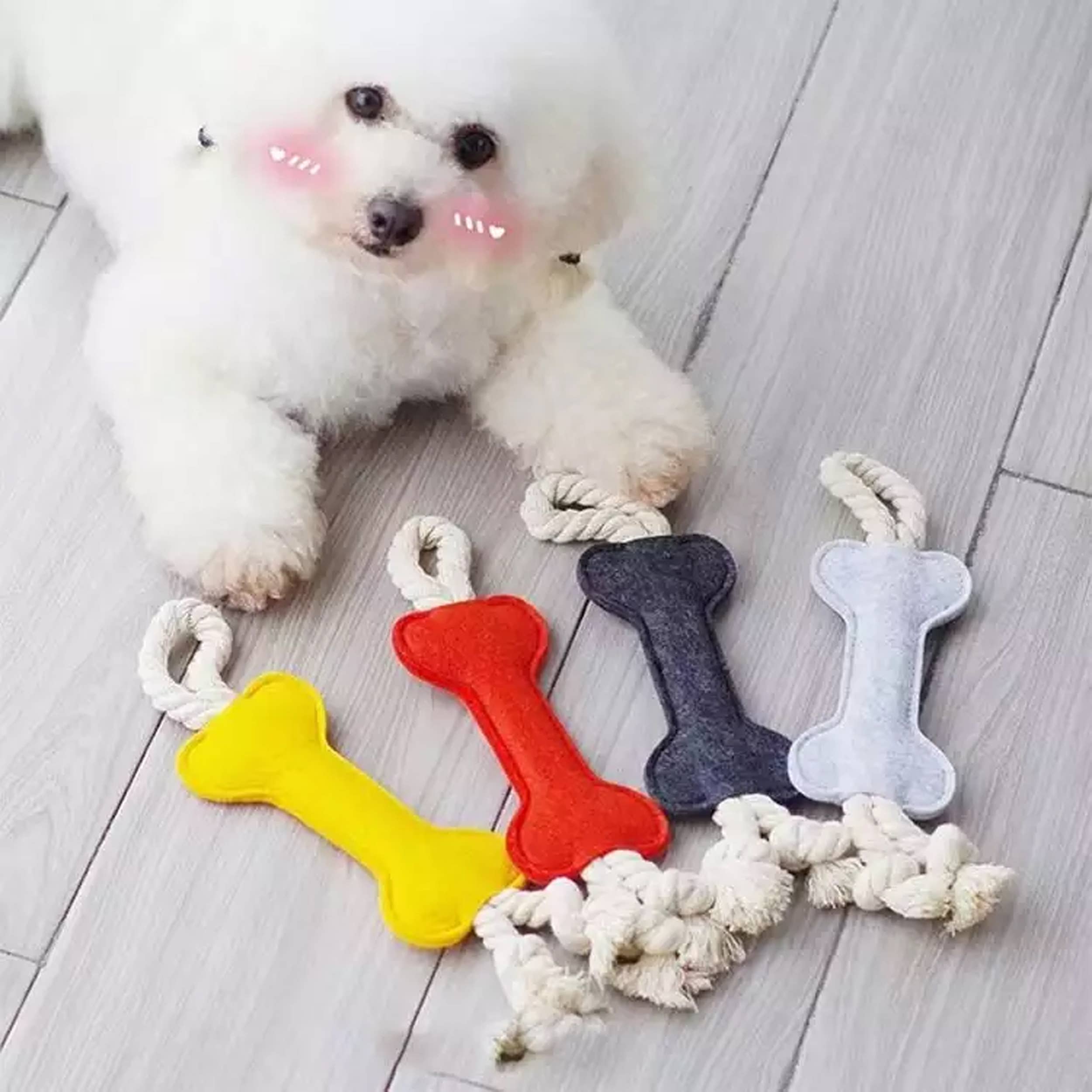 JSBlueRidge Toys - Wholesale Pet Plush Toy - Dog - Holiday Bone Shape Soft Plush Dog Toy- Assorted2