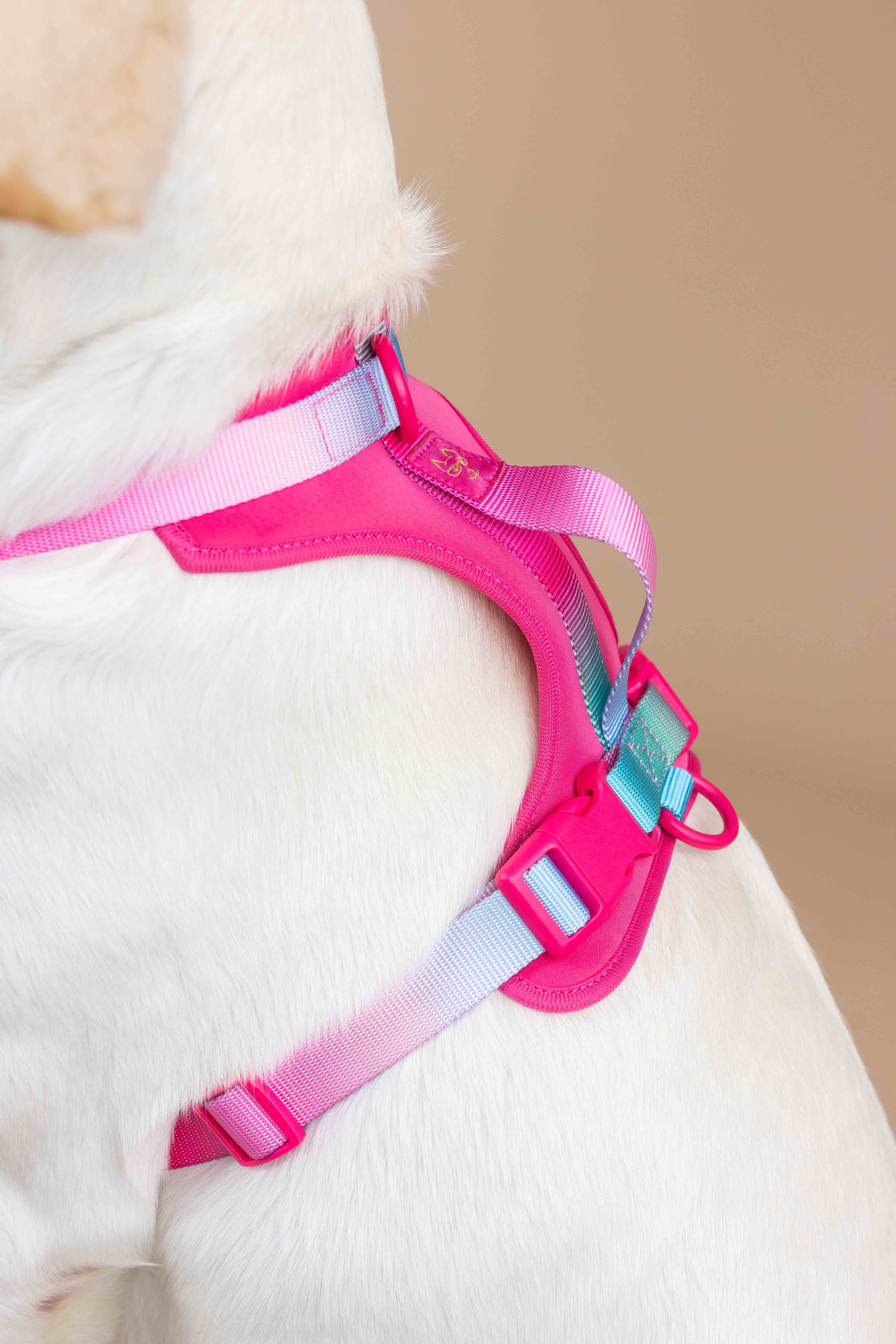Pink Papyrus | Premium, Durable, & Stylish Dog Products - Wholesale Tuig voor huisdieren - Hond - Stasia hondenharnas | No pull hondenharnas in roze19
