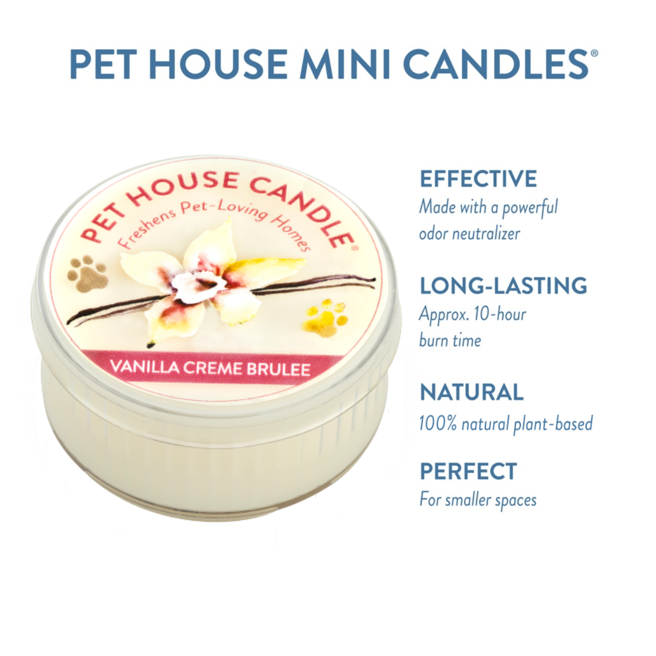 Pet House by One Fur All - Wholesale Travel Candles - Vanilla Crème Brulee Mini Candle 1.5 oz1