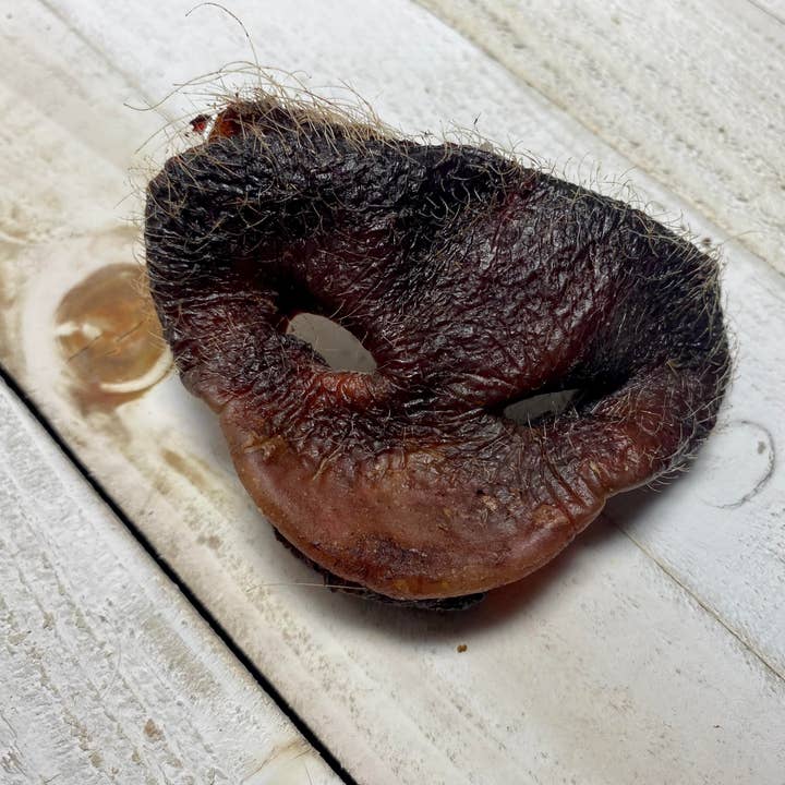 Pork Snout for wholesale by Rocky&Stella’s Treats