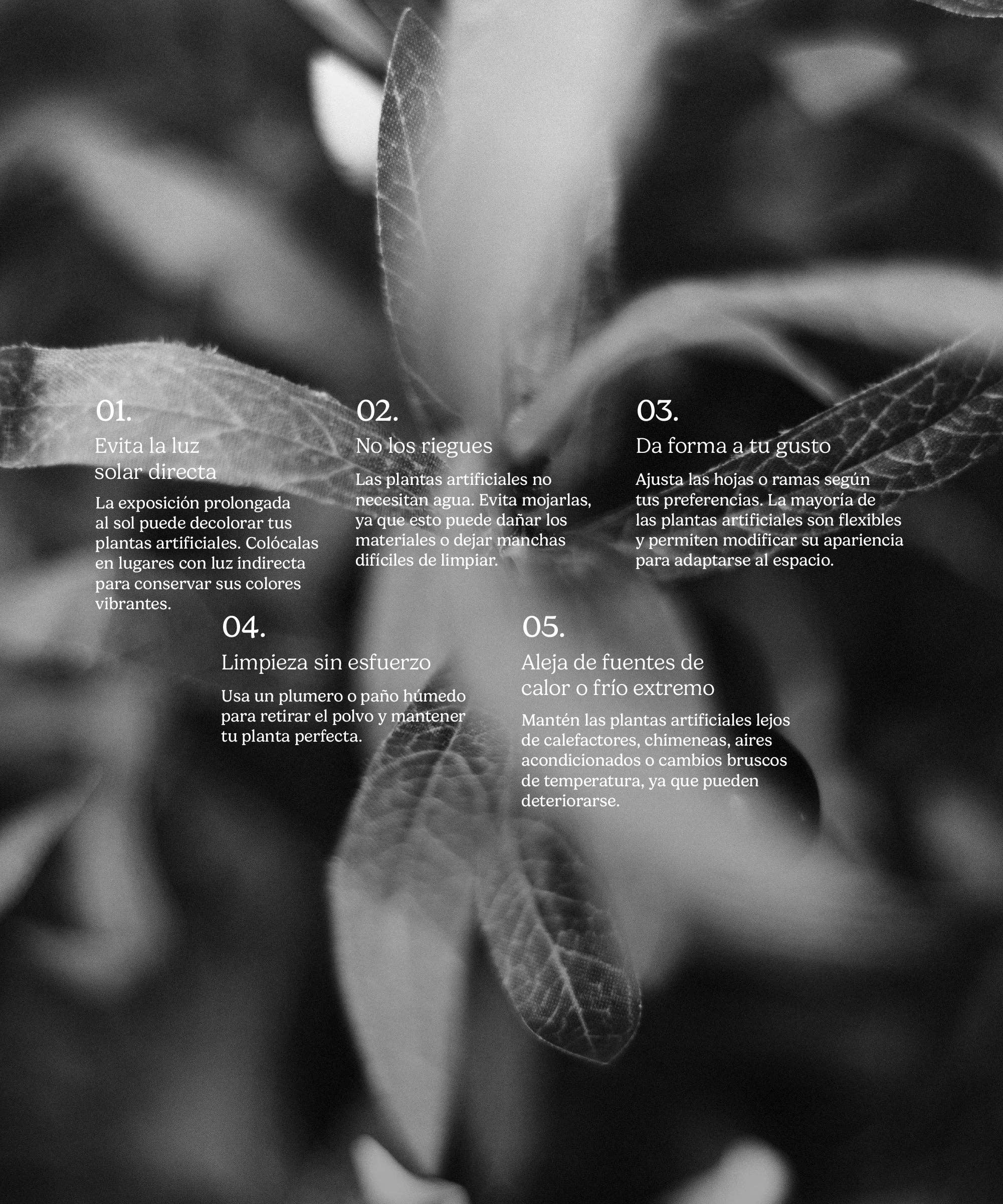 Maia Shop – Großhandel Kunstpflanzen – Künstlicher Olivenbaum Moon 210 cm6