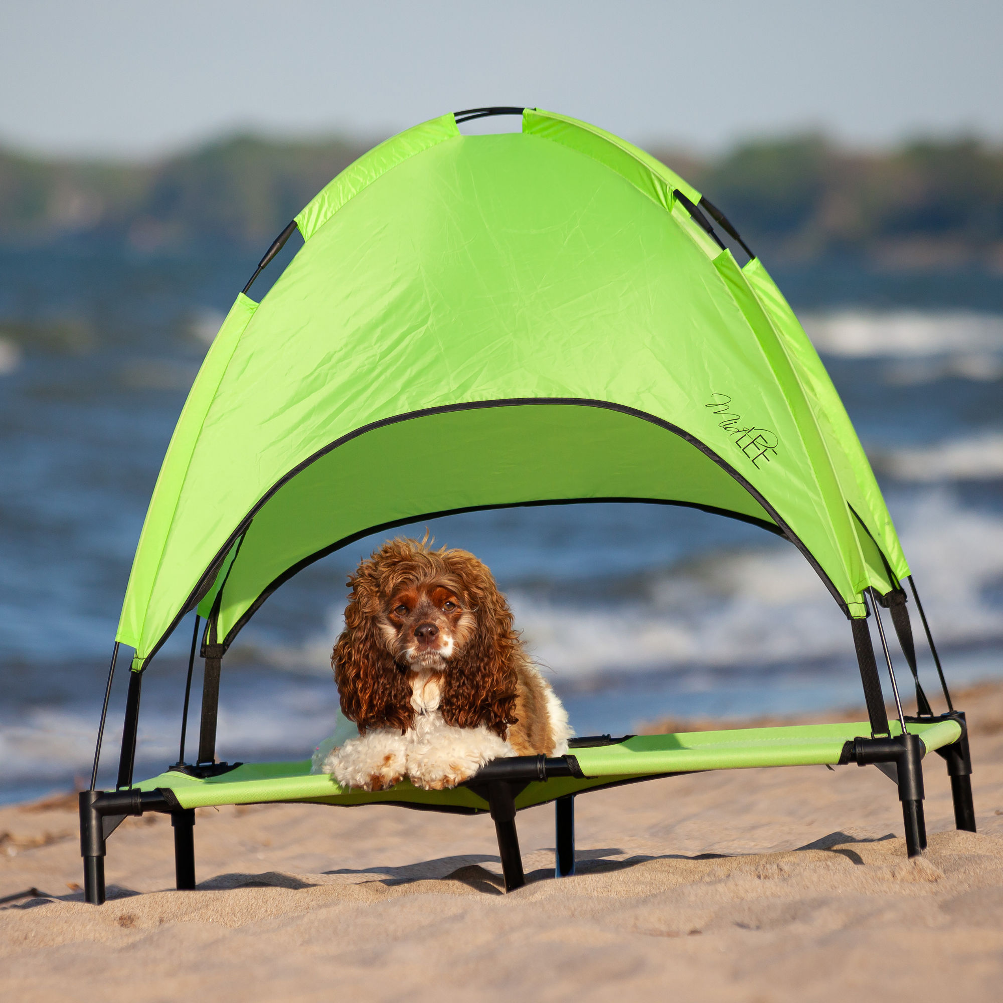 Midlee Designs - Vente Panier – chien - Lit surélevé pour chien Midlee avec auvent15