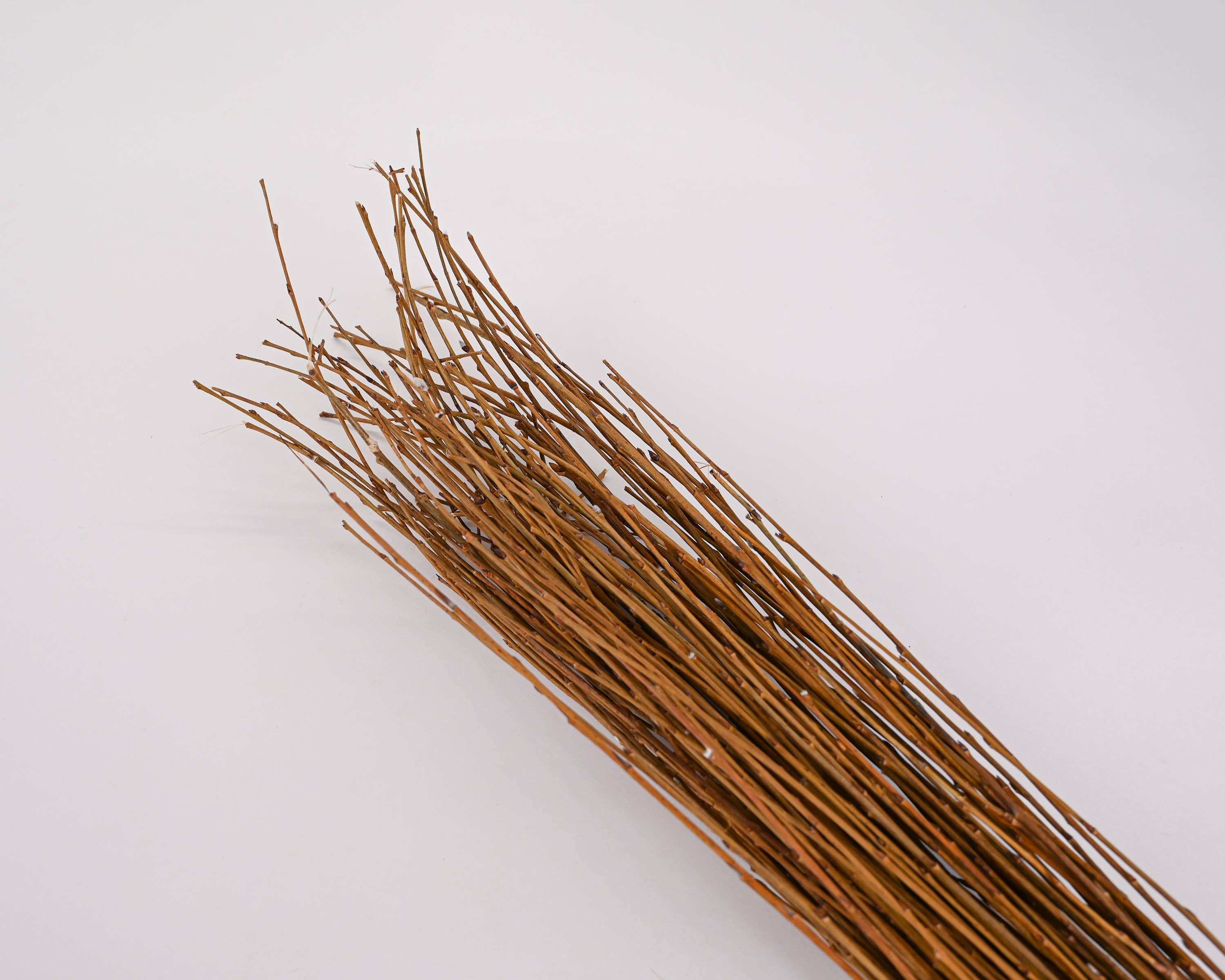 Dried Decor - Wholesale Dried/Pressed Flowers - Asian Willow Branches Natural | 8 Bunches | Natural Light Brown0
