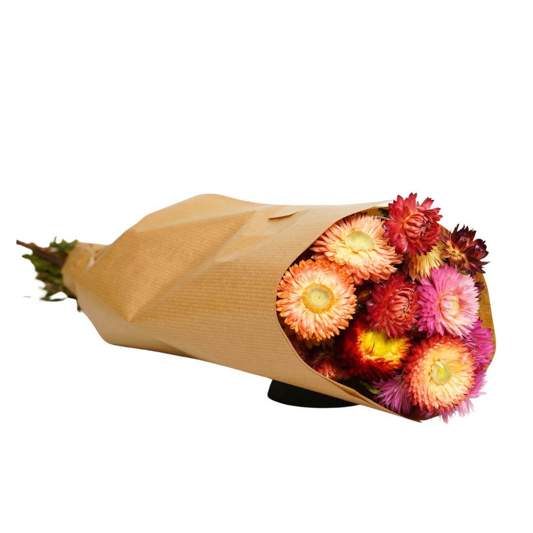 Wildflowers by Floriette - Wholesale Dried/Pressed Flowers - Dried Flowers – Helichrysum Natural0