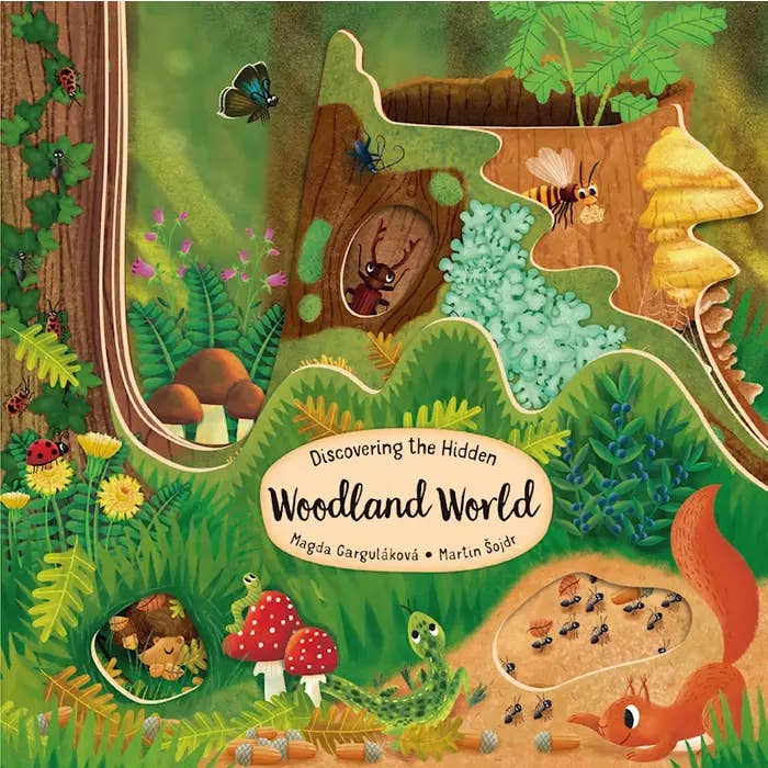 Wellspring - Wholesale Book - Kids - Board Book - Woodland World