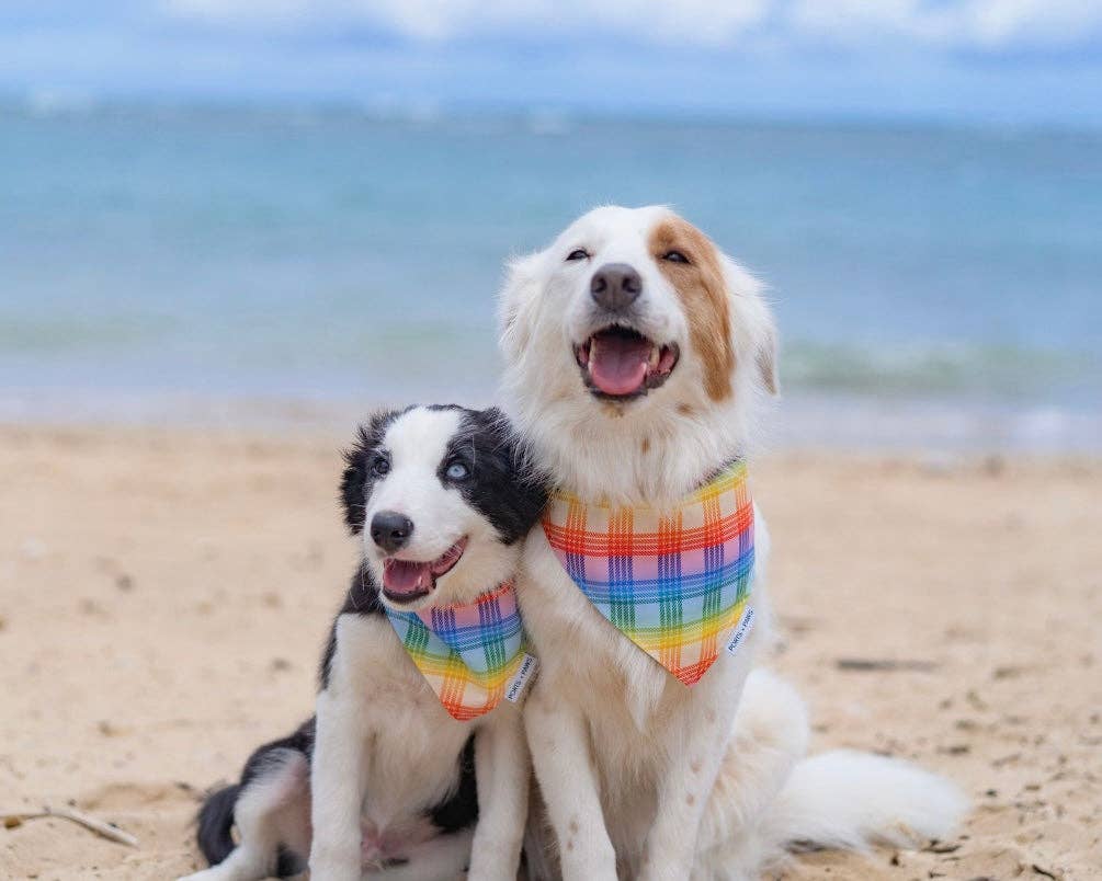 Ports and Paws – wholesale Pet bandana – Dog – QUICK DRY BANDANA - PALAKA RAINBOW3