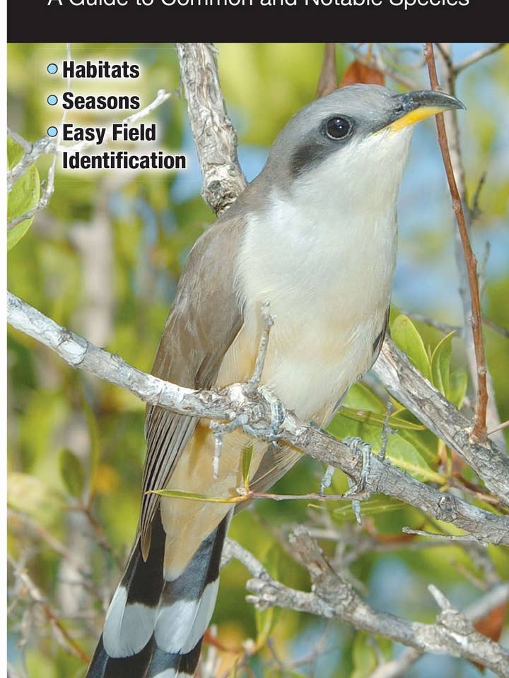 Birds of the Florida Keys for wholesale by Quick Reference Publishing, Inc
