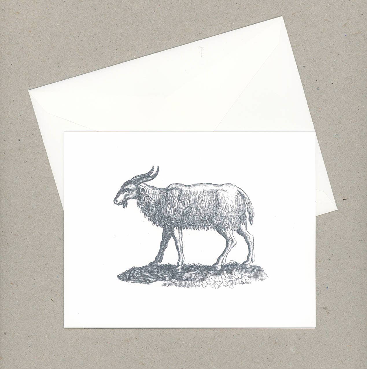 VMazzoni - Wholesale Stationery/Notecard Set - Whimsical Note Cards Set of Six4