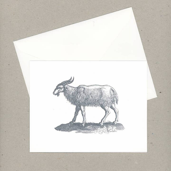 VMazzoni - Wholesale Stationery/Notecard Set - Whimsical Note Cards Set of Six4