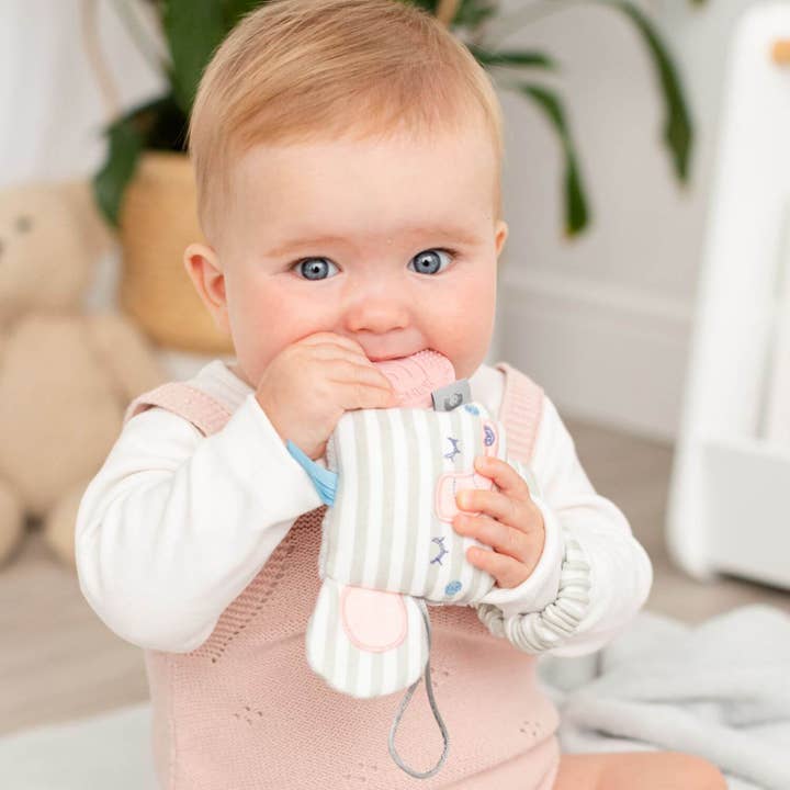 Cheeky Chompers UK - Wholesale Teether (Not Clip-On) - Baby - Handychew Sensory Teething Toy - Darcy the Elephant