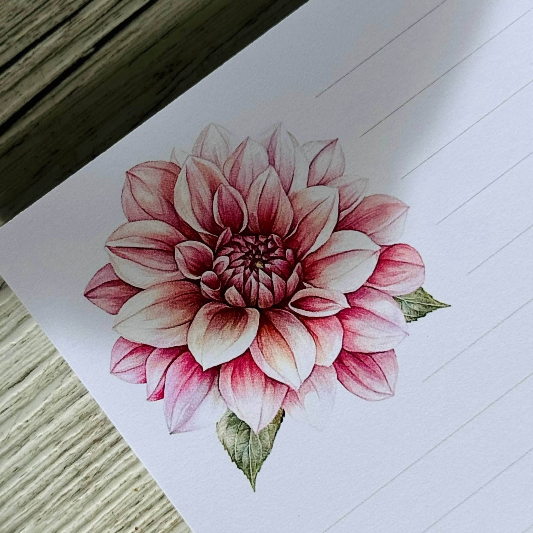 Scattered Seed Co - Vente Assortiments de papeterie/cartes - Ensemble de papier à lettres FLEURS ROSES4