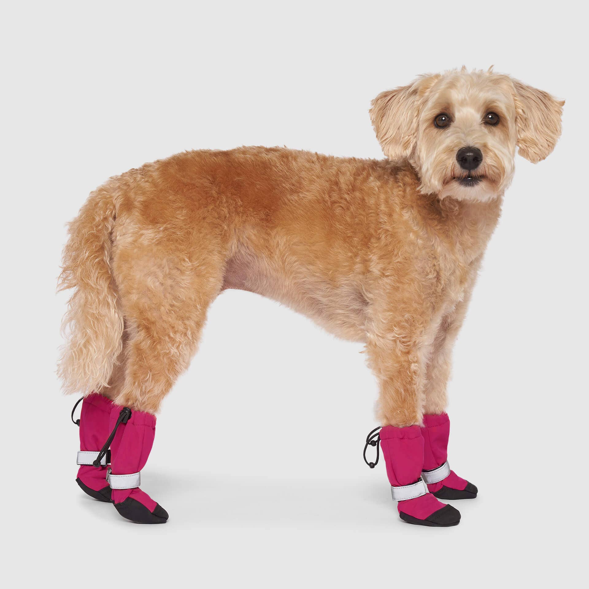 Canada Pooch - Wholesale Pet Boots - Dog - Soft Shield Boots- Dog Boots11