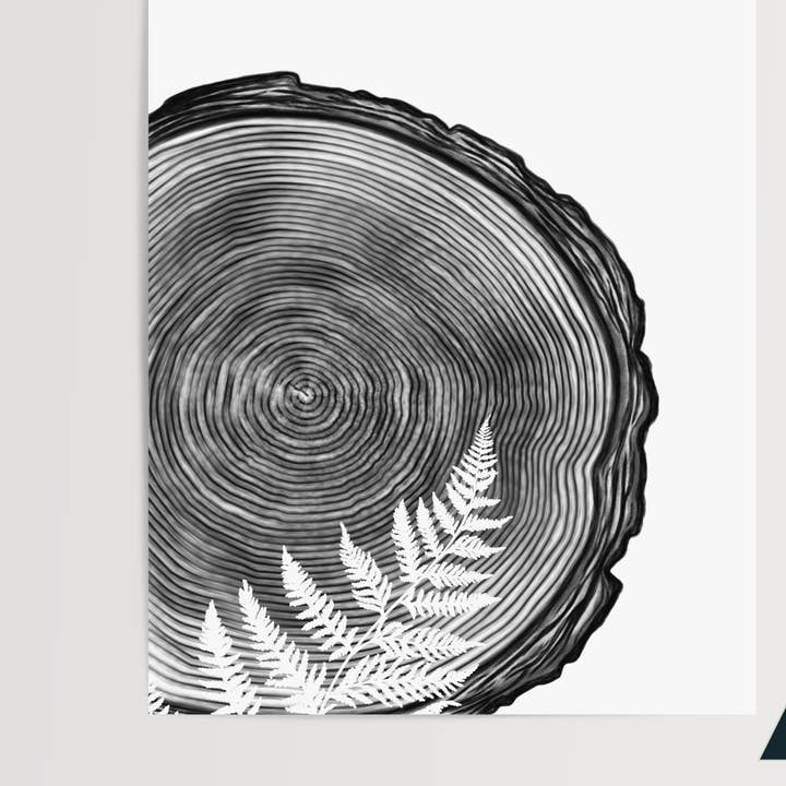 Fern in Wood Slice Art Print for wholesale by Fern and Skye