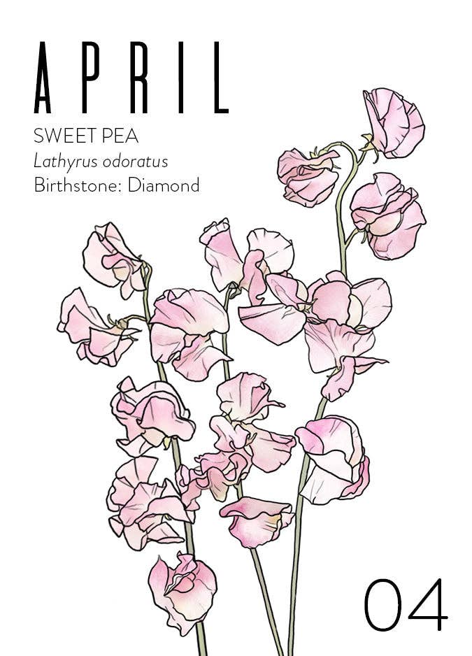 WildFlora - Wholesale Verjaardagskaartje - Groothandel Wenskaarten: Geboortemaand Collectie (set van 12)5