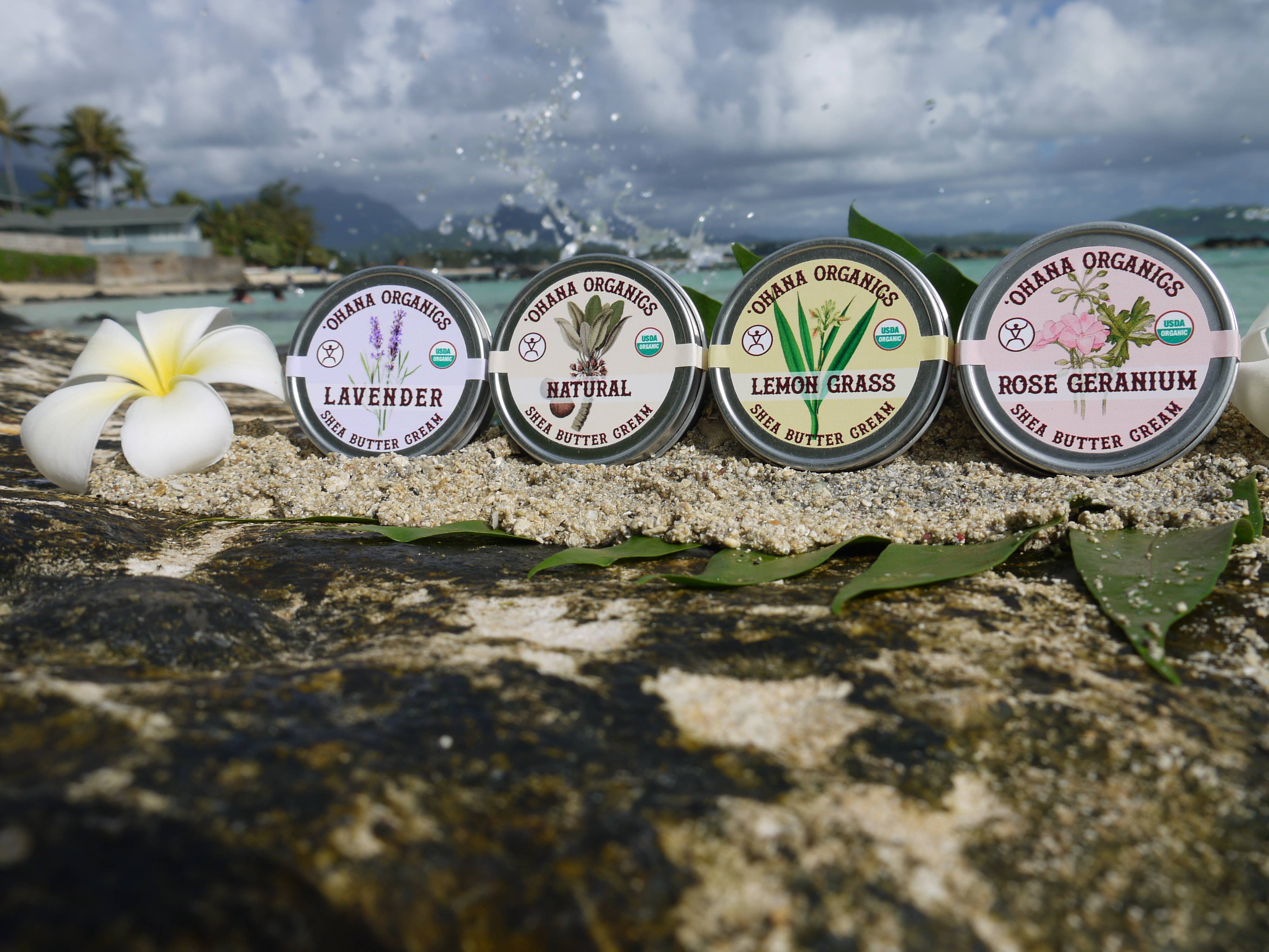 'Ohana Organics - Wholesale Body Balm/Butter - Organic Shea Butter- 4 scents (Case of 6)13