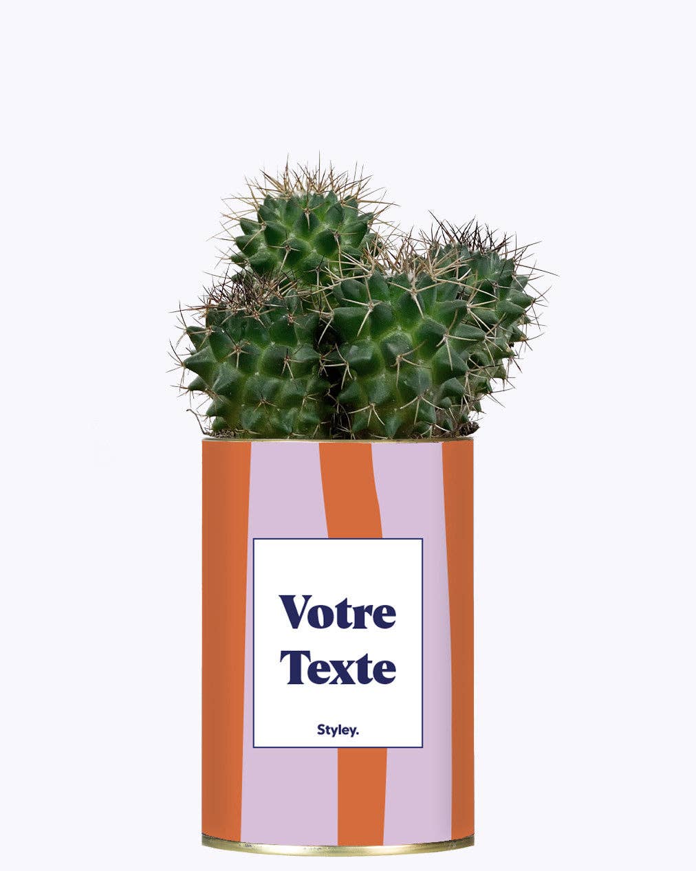 Styley - Wholesale Live Plant - Capri - Personnalisable2