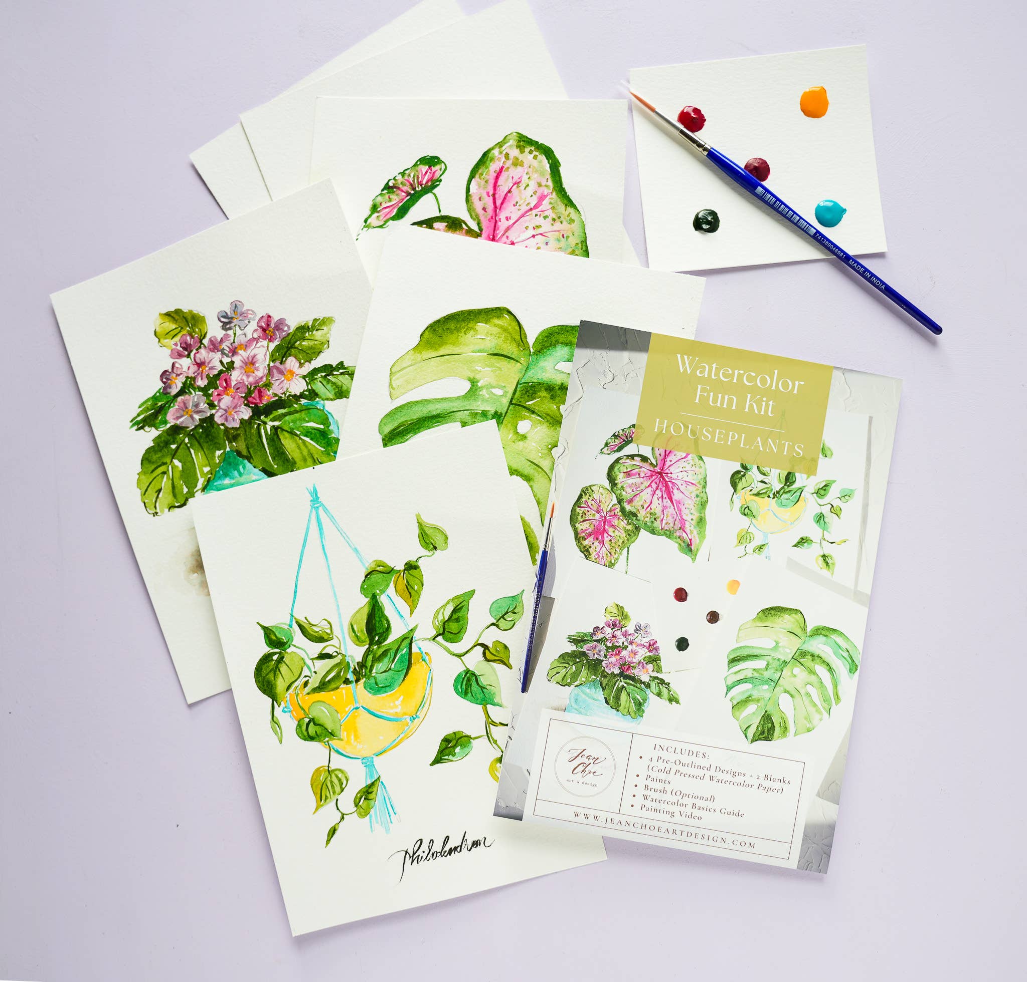 Jean Choe Art & Design - Wholesale DIY Craft Kit - Houseplants Watercolor Painting Kit with Paint & Brush9