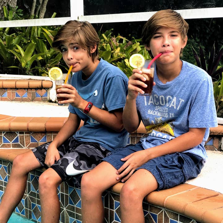 GoSili - Wholesale Drinking straw - Standard Reusable Silicone Straw 60ct Mini Wing - Assorted12