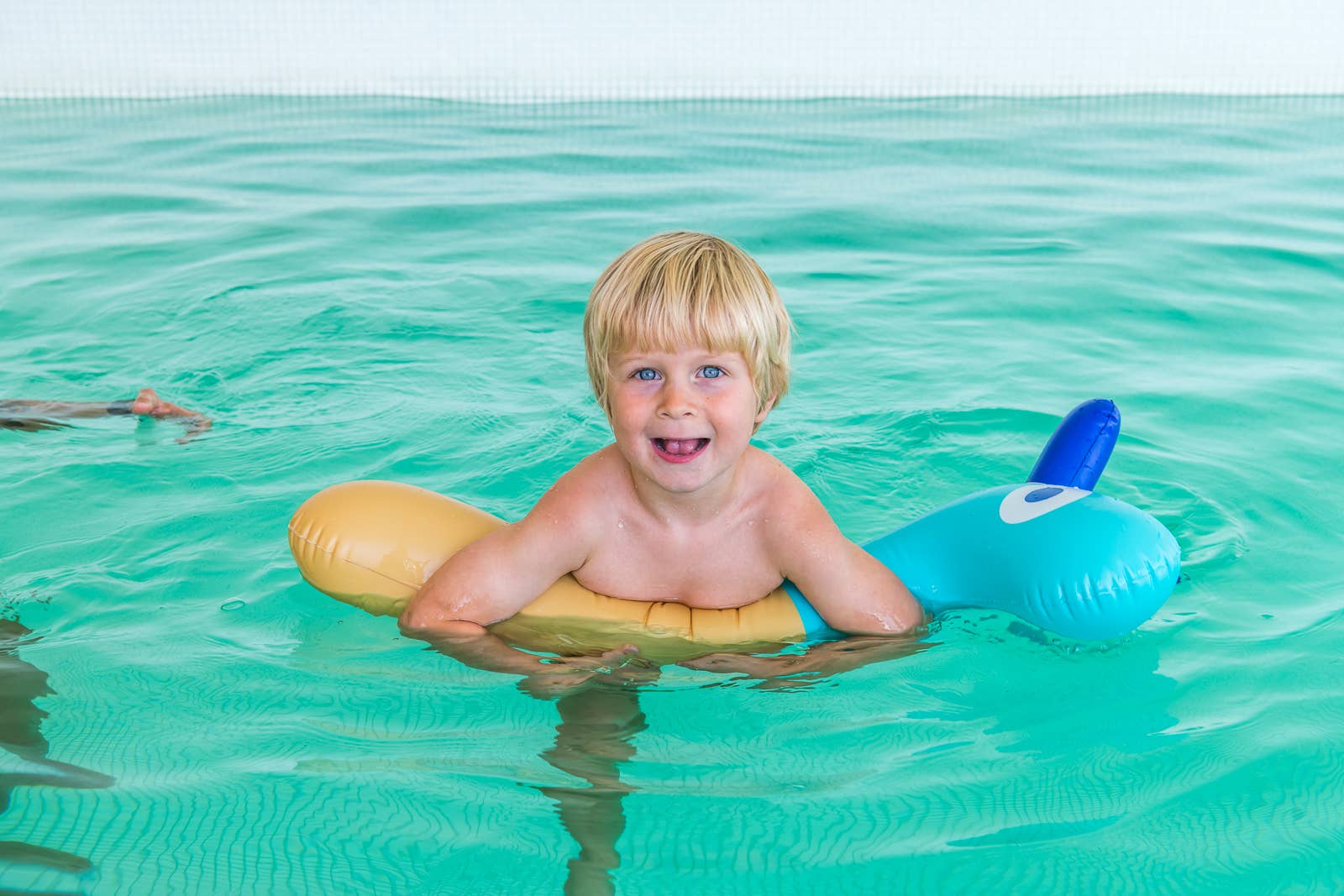 Quut Toys - Wholesale Inflatable Toy - Kids & Baby - Quut Noodle Friends - Dino, Giraffe and Horse! Pool Toy8