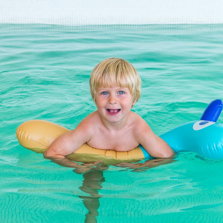 Quut Toys - Wholesale Inflatable Toy - Kids & Baby - Quut Noodle Friends - Dino, Giraffe and Horse! Pool Toy8