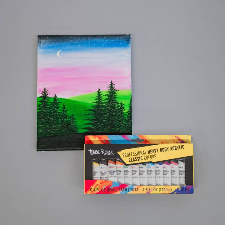 BR 12Pc Peintures Acryliques Corps Lourd Classiques pour la vente par Momenta