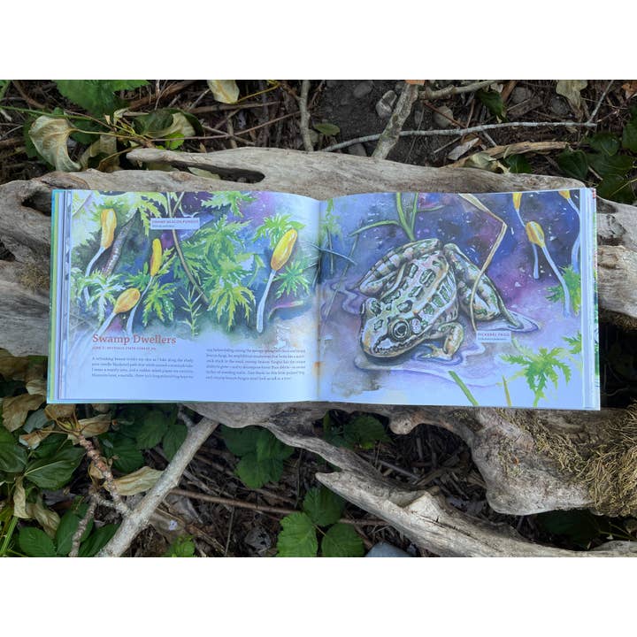 Mountaineers Books - Wholesale Nature & Outdoors - Tiny Worlds of the Appalachian Mountains2