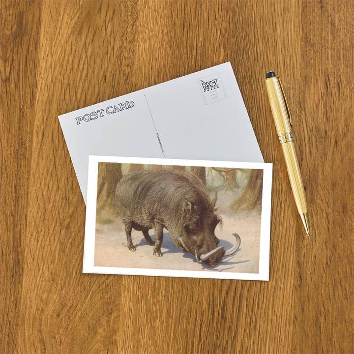 Found Image Press - Wholesale Postcard - Postcard AN-377 Warthog1
