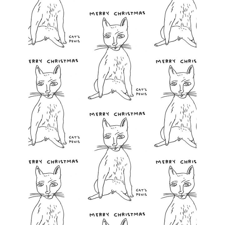 David Shrigley x Brainbox Candy - Wholesale Flat Wrap - David Shrigley Gift Wrap Cat's Penis Pack of 2 Sheets Folded