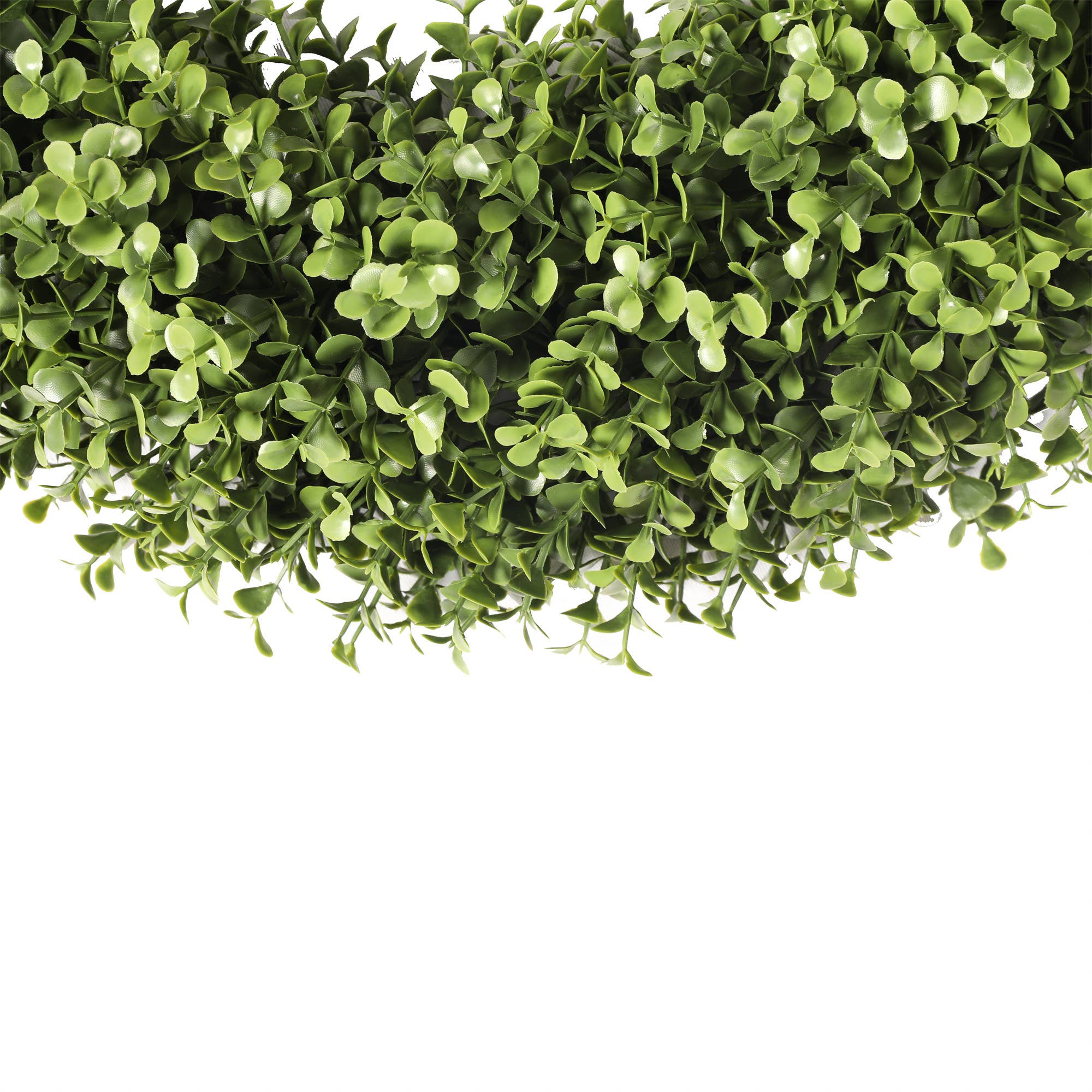 Mills Floral Company - Vente Couronne - Couronne Ronde de Buis UV 19 Pouces4