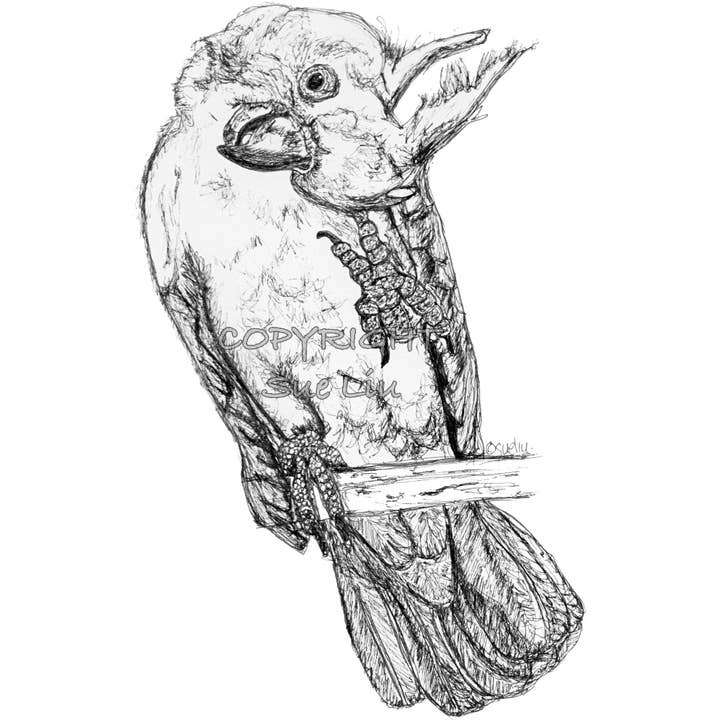 Cockatoo - Frisky the Cockatoo for wholesale by @wildcardsue