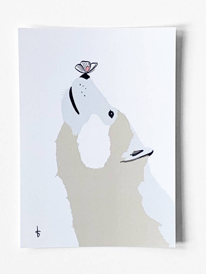 Kort Isbjørn for engroshandel hos Studio Blits