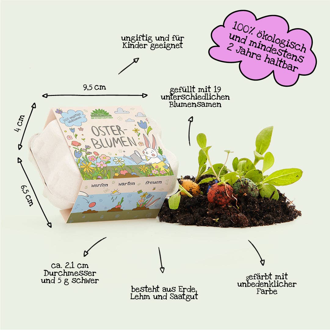 TDJ Stadtgärtner GmbH - Wholesale Plant Seeds - Easter Flowers Flower Marbles, 6 pieces in cardboard box1