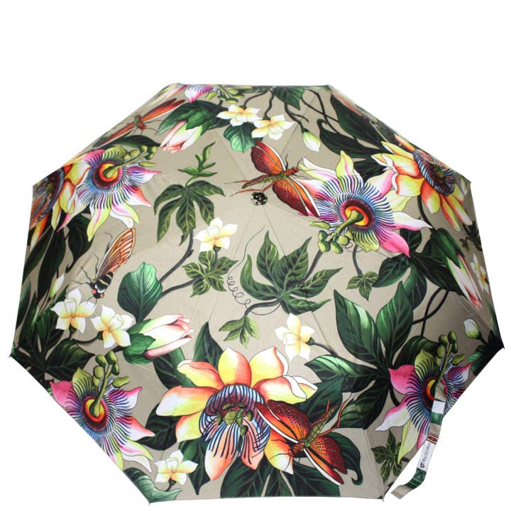 Anuschka | Vanya Lara (USA) - Wholesale Umbrella - Women's - Auto Open/ Close Printed Umbrella - 3100