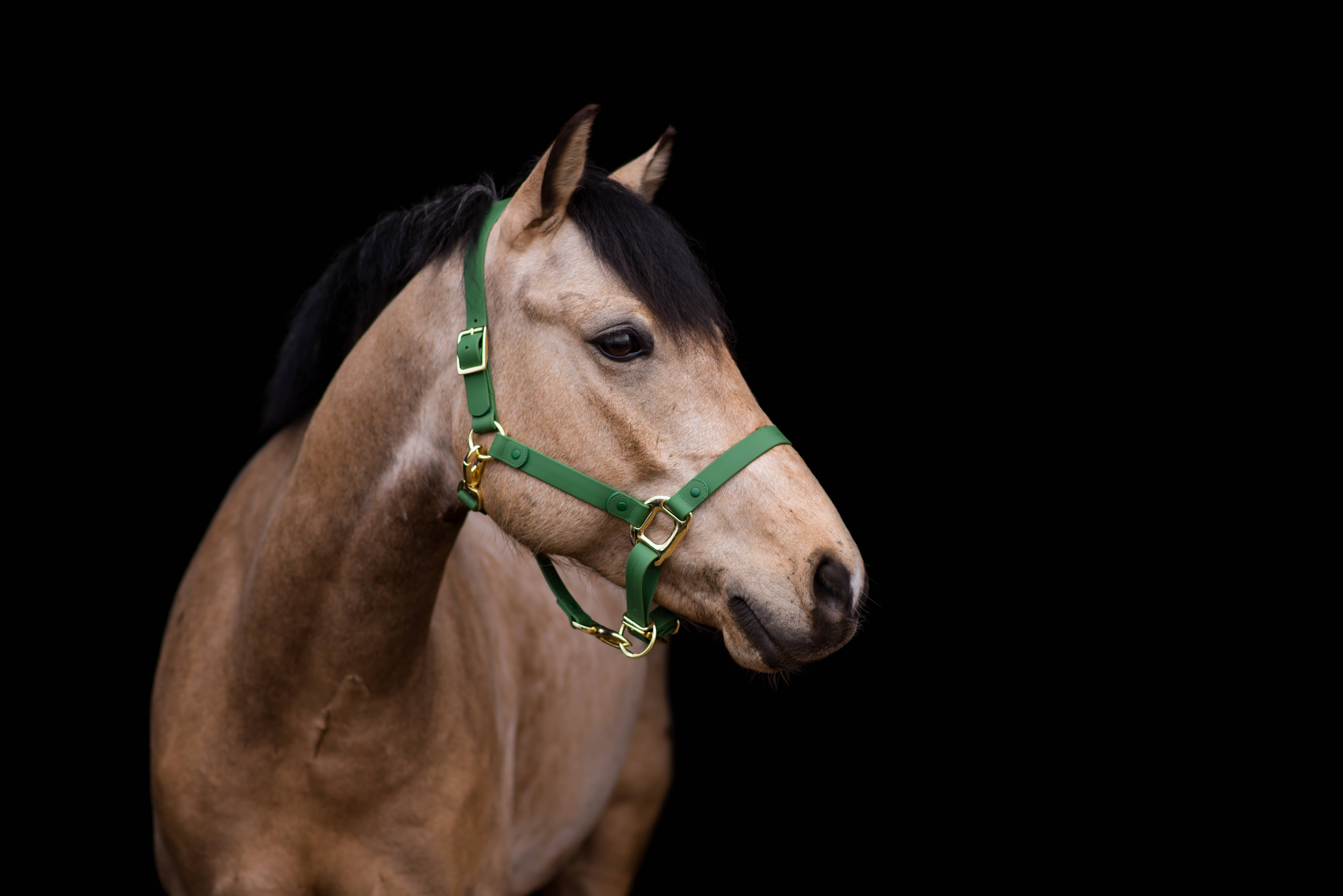 iDoggos – Engroshandel Rideudstyr – VANDTÆT Green Horse grime * NU TILGÆNGELIG*5