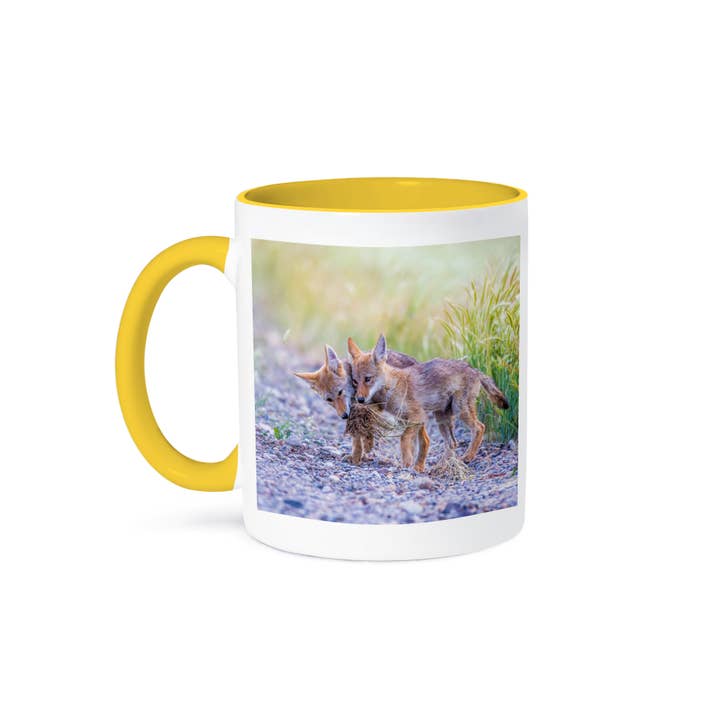 3dRose, Usa, Montana, Red Rock Lakes NWR, two coyote pups playing., Mug and other Purchase Wholesale nw16. Free Returns & Net 60 Terms on Faire trending on Faire.