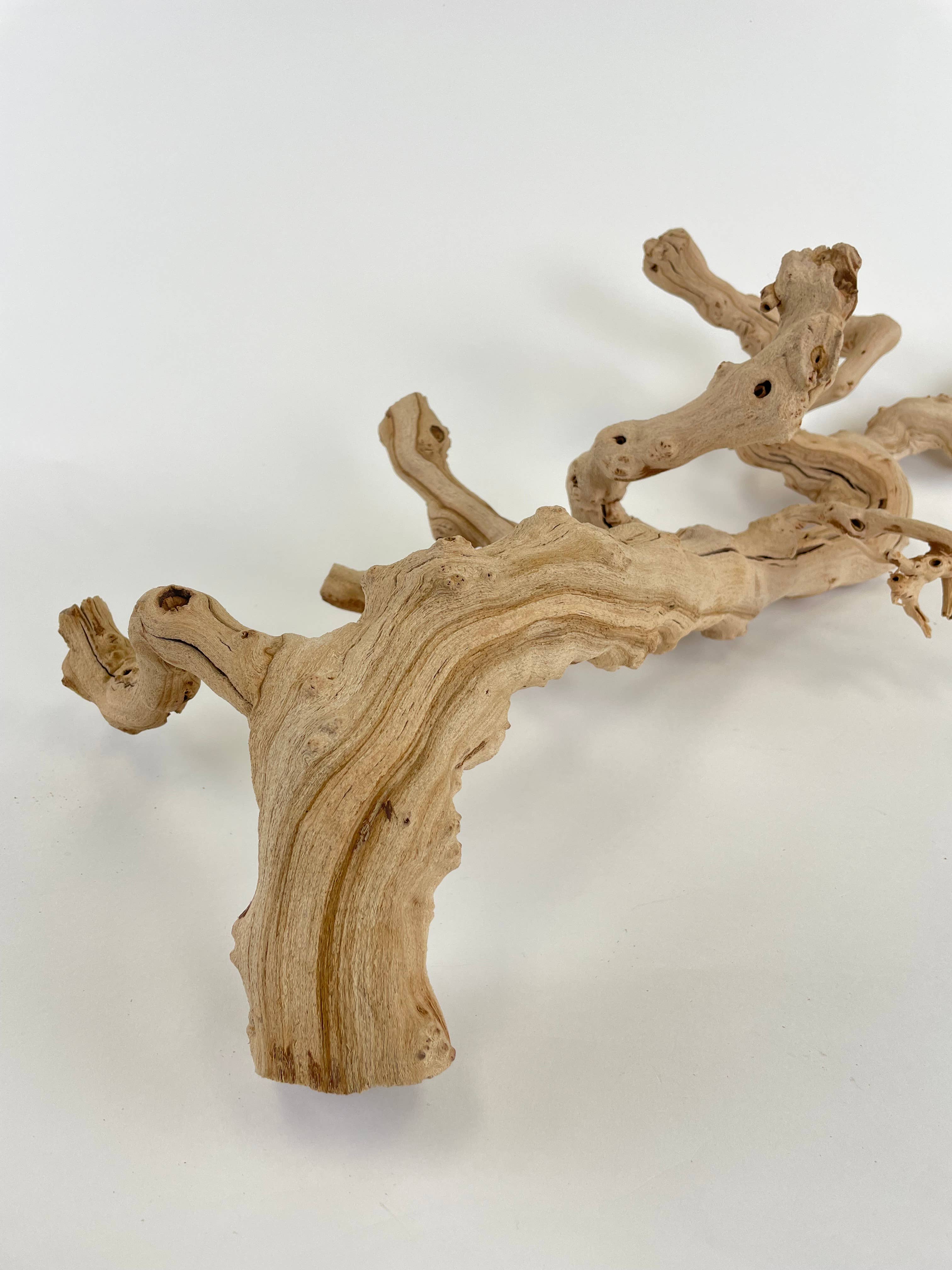 Andaluca - Wholesale Decorative Tabletop Object - 22" Sandblasted Grapewood2