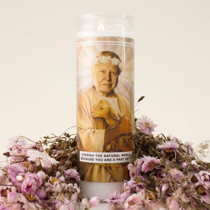 Saint Attenborough Prayer Candle for wholesale by Ain't Saint