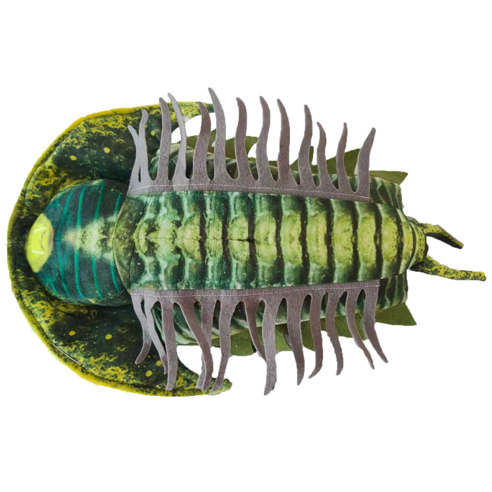 Texas Toy Distribution - Wholesale Stuffed/Plush Toy - Kids & Baby - Trilobite Plush 12" Stuffed Animal Collectible Fossil Toy1