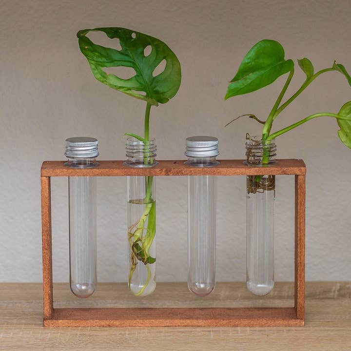 The Plant Committee - Wholesale Plant Pot - 4 Vial Table Top Propagation Station