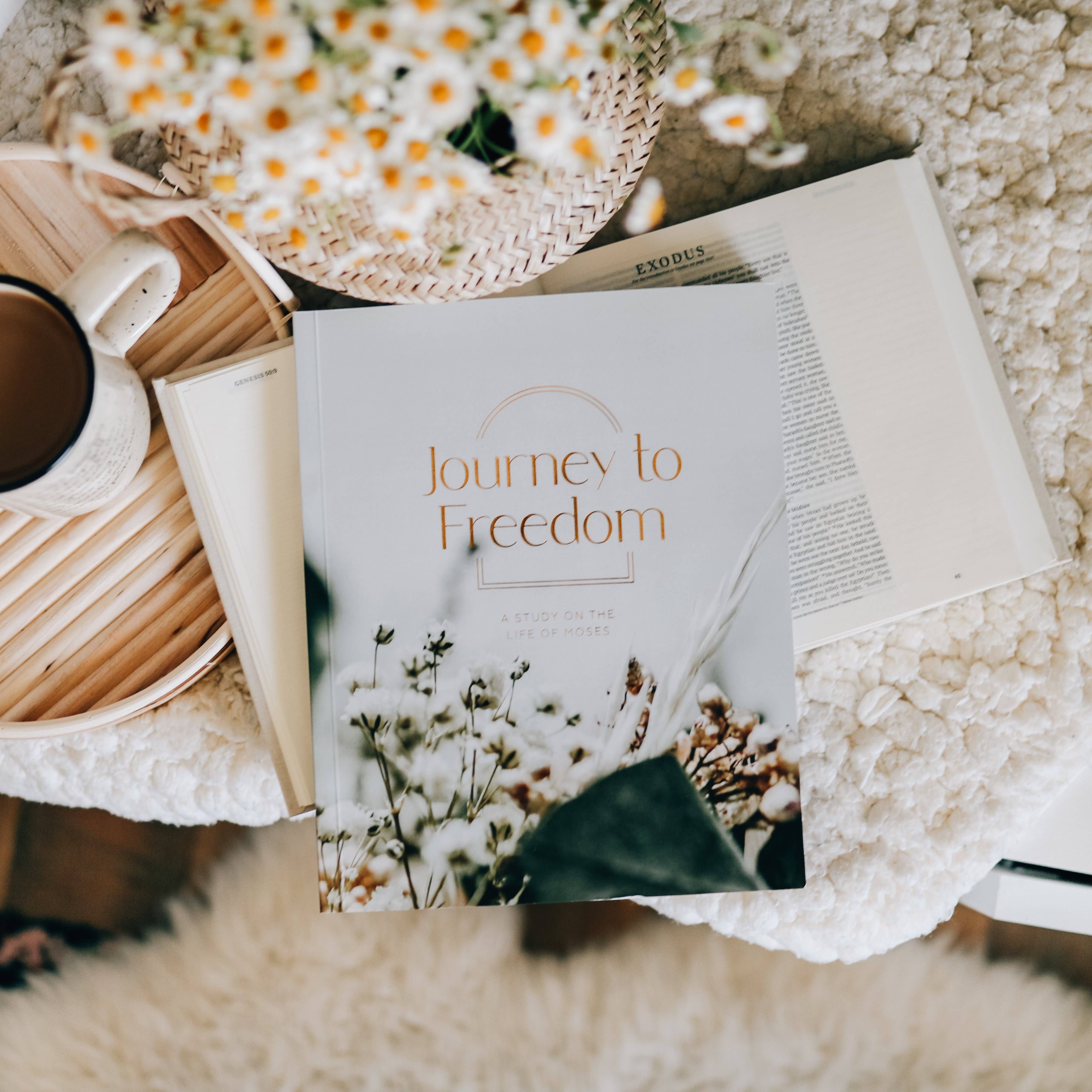 The Daily Grace Co - Wholesale Religion - Journey to Freedom | The Life of Moses6