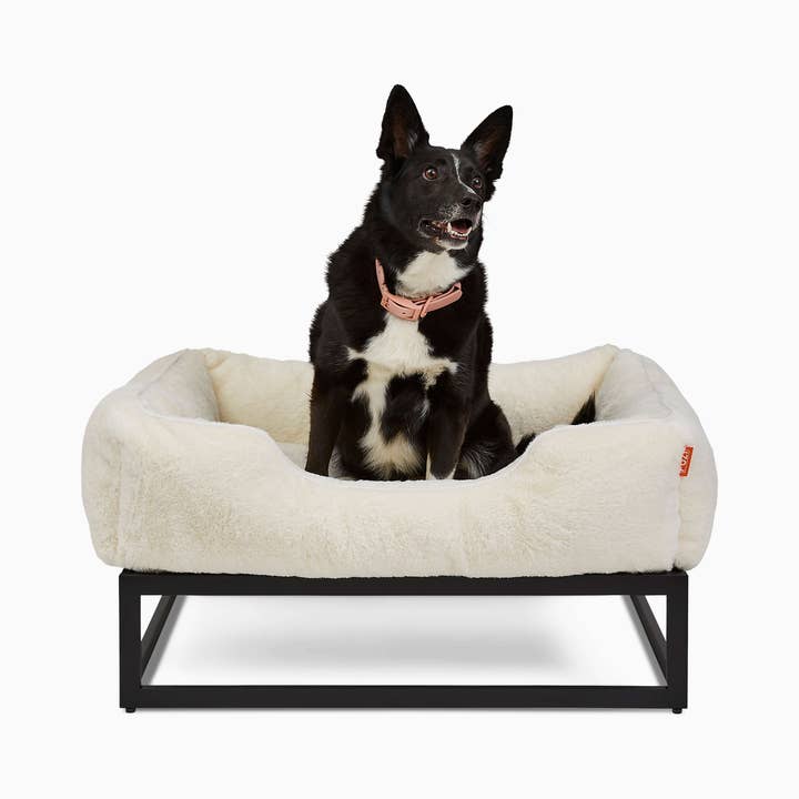 The FÜZI Luxury Dog Bed for wholesale by FÜZI