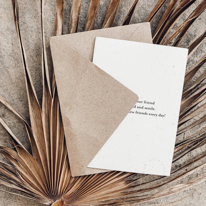 Axel & Ash - Wholesale Everyday Greeting Card - PLANTABLE Greeting Card || SENILE - 6Pack