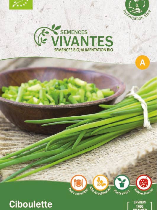 Organic chive - Bag of 1700 seeds for wholesale by Semences Vivantes