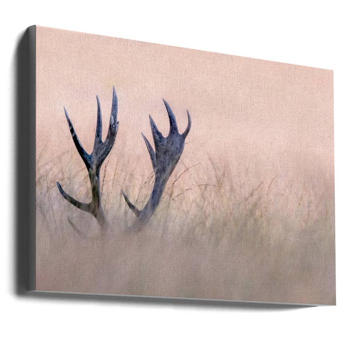 Wall art Hide & Seek ( Horn of Stag) for wholesale by GTA ART
