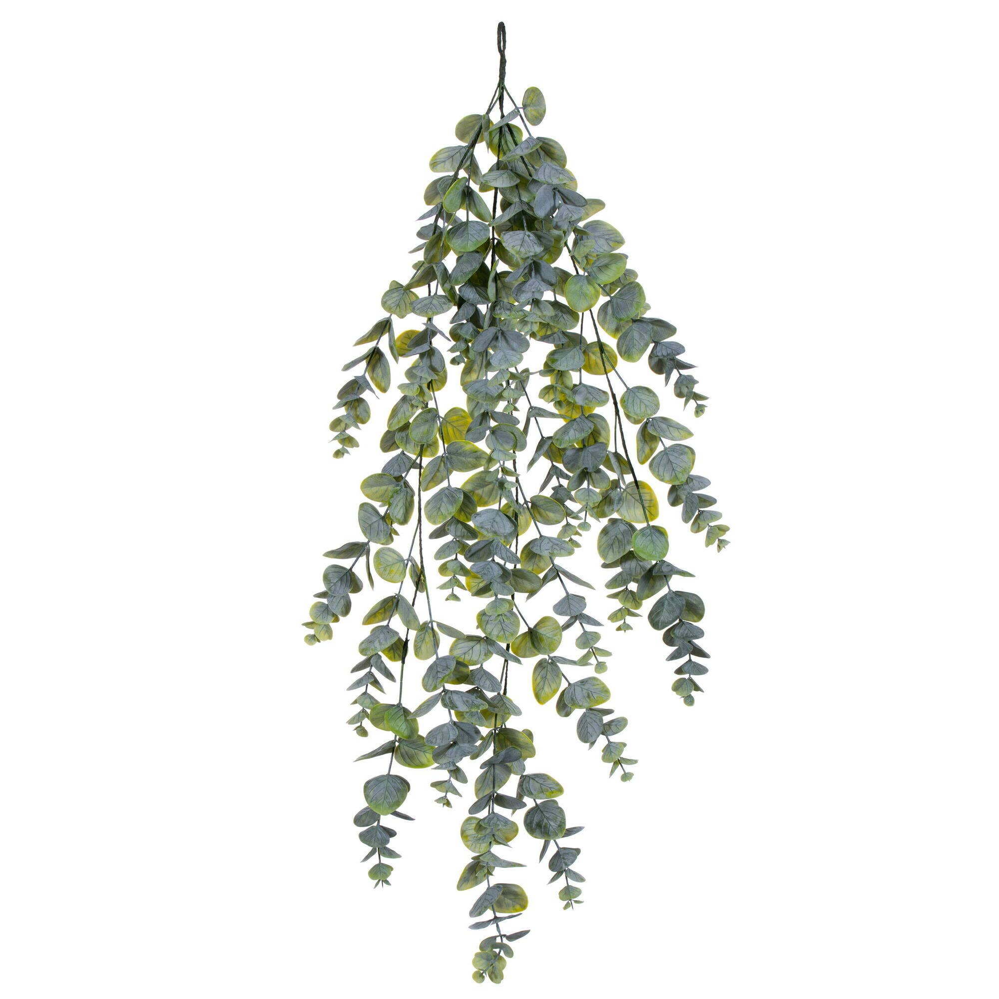 Vert Vignette d'eucalyptus verte en spirale Vickerman de 36 po en vente sur Faire0