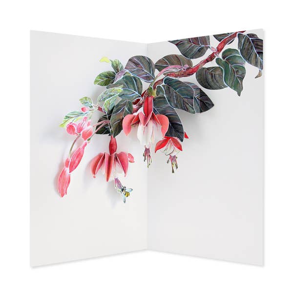 UWP Luxe - Wholesale Everyday Greeting Card - Fuchsia Pop-Up Card