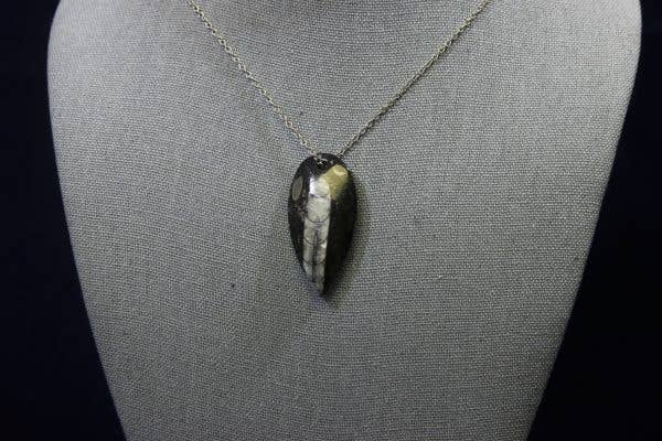Cold River Mining - Wholesale Pendant/Charm Necklace - Orthoceras Fossil Pendant - Sold By Piece